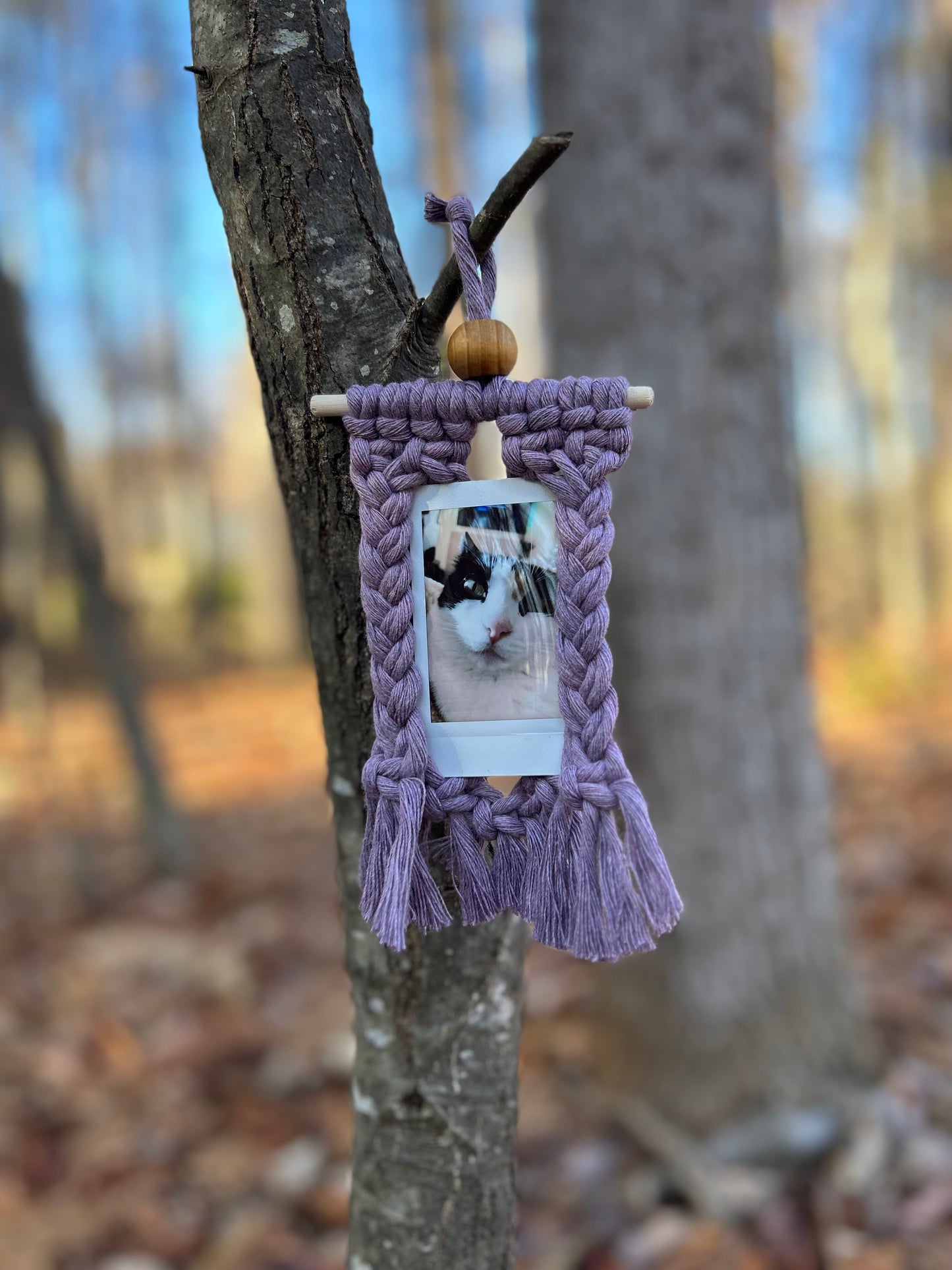 Macrame Polaroid Hanger