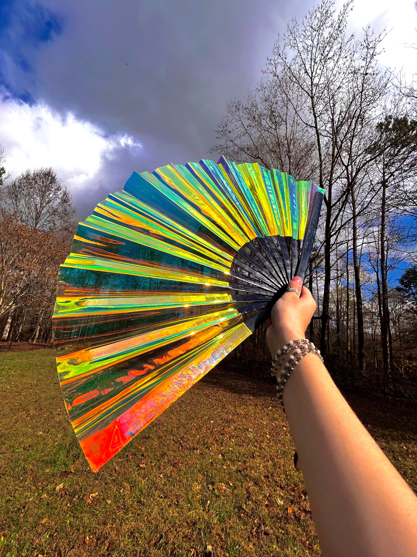 Iridescent Hand Fan - Black Bamboo