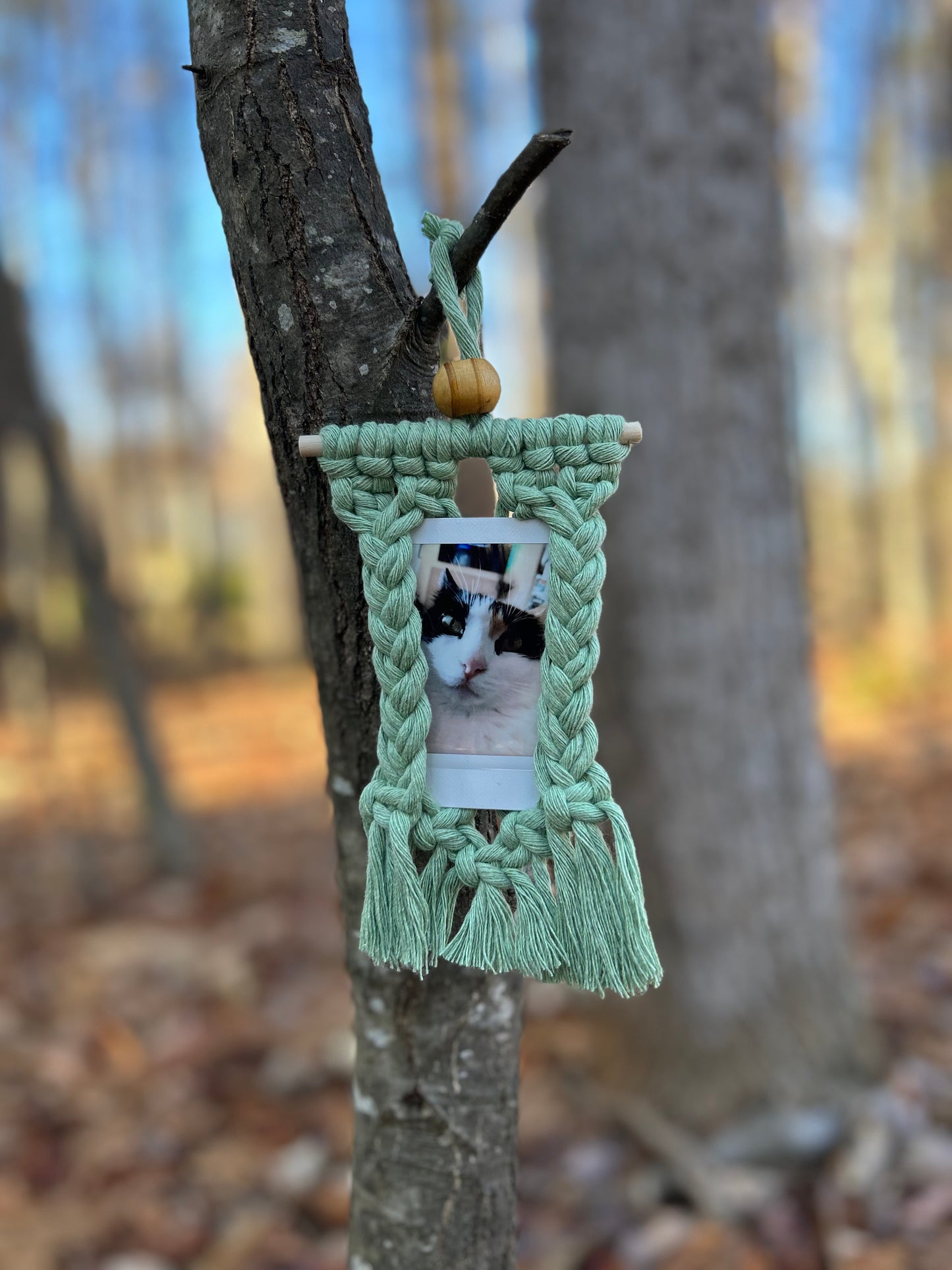 Macrame Polaroid Hanger
