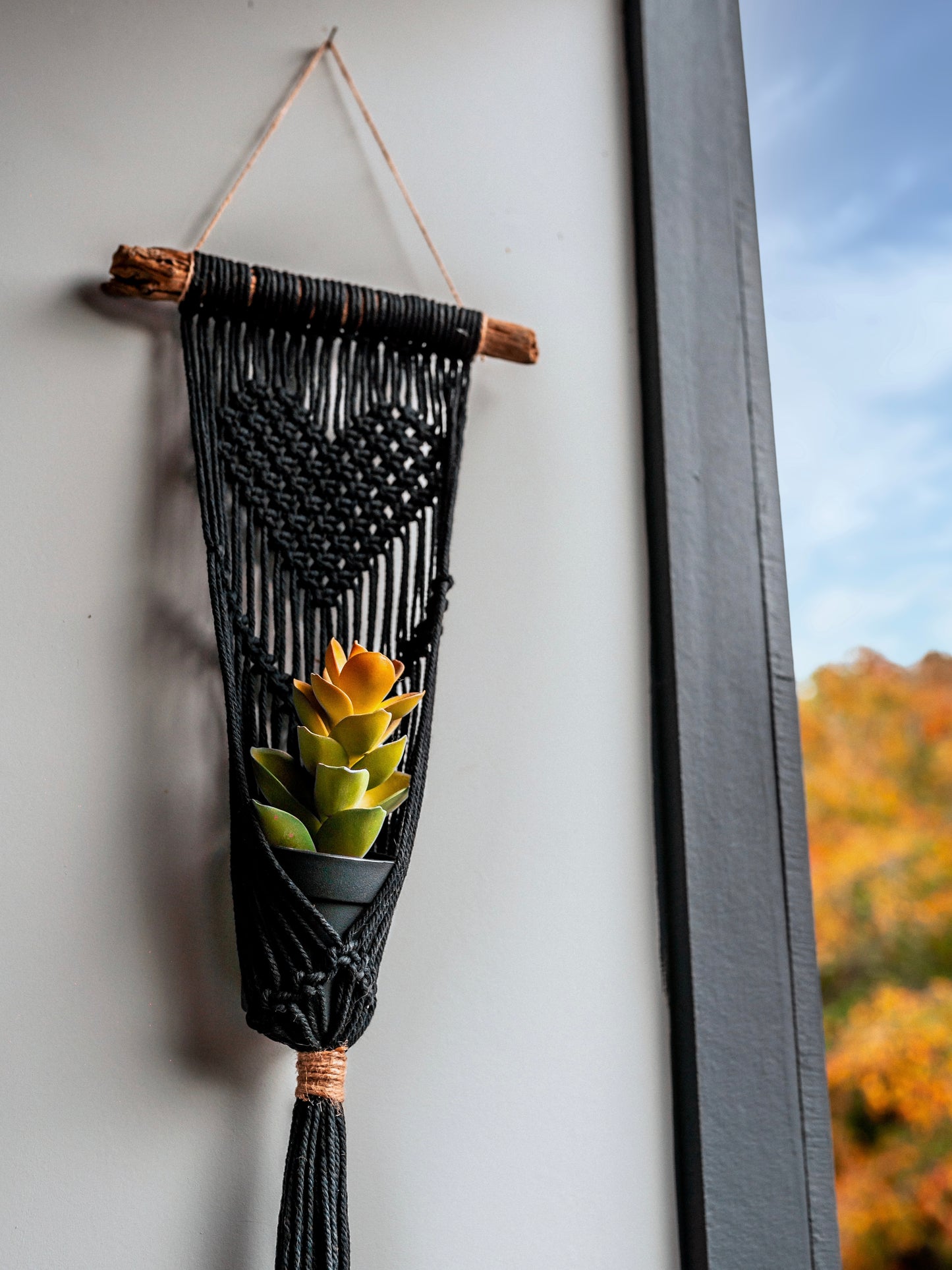 Heart Plant Hanger