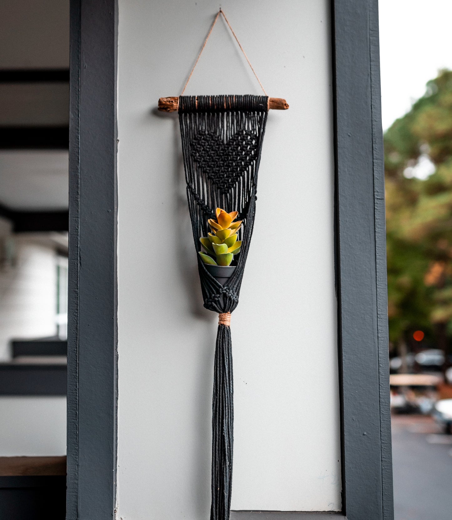 Heart Plant Hanger