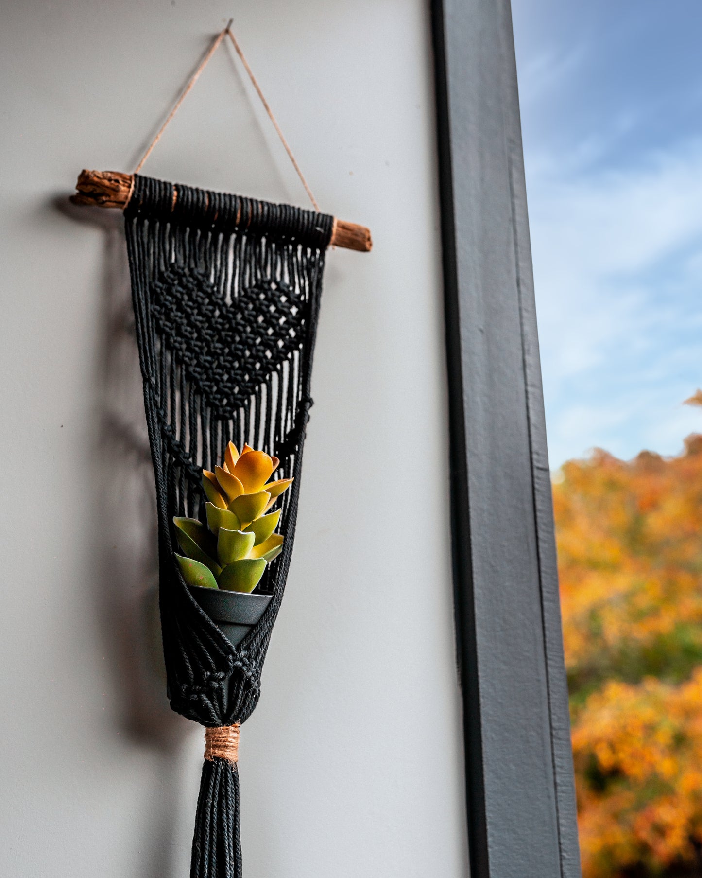 Heart Plant Hanger